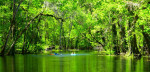 Suwannee River